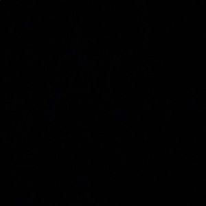 Meet your Posher, Eva